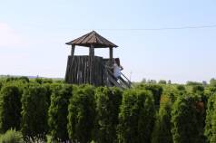 Mini IMG 0874